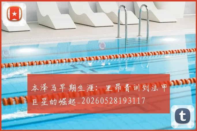 本泽马早期生涯：里昂青训到法甲巨星的崛起_20260528193117